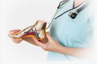 5 Reasons to Utilize Podiatry EHR Software