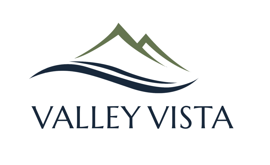 VVista-Logo-Color